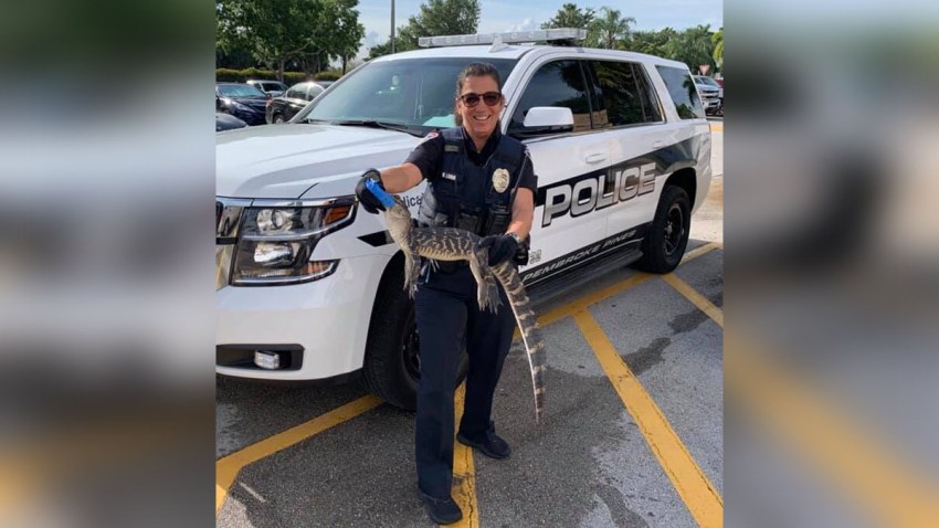 061219 pembroke pines gator at school