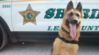 061515 kilo k-9 lee county sheriff