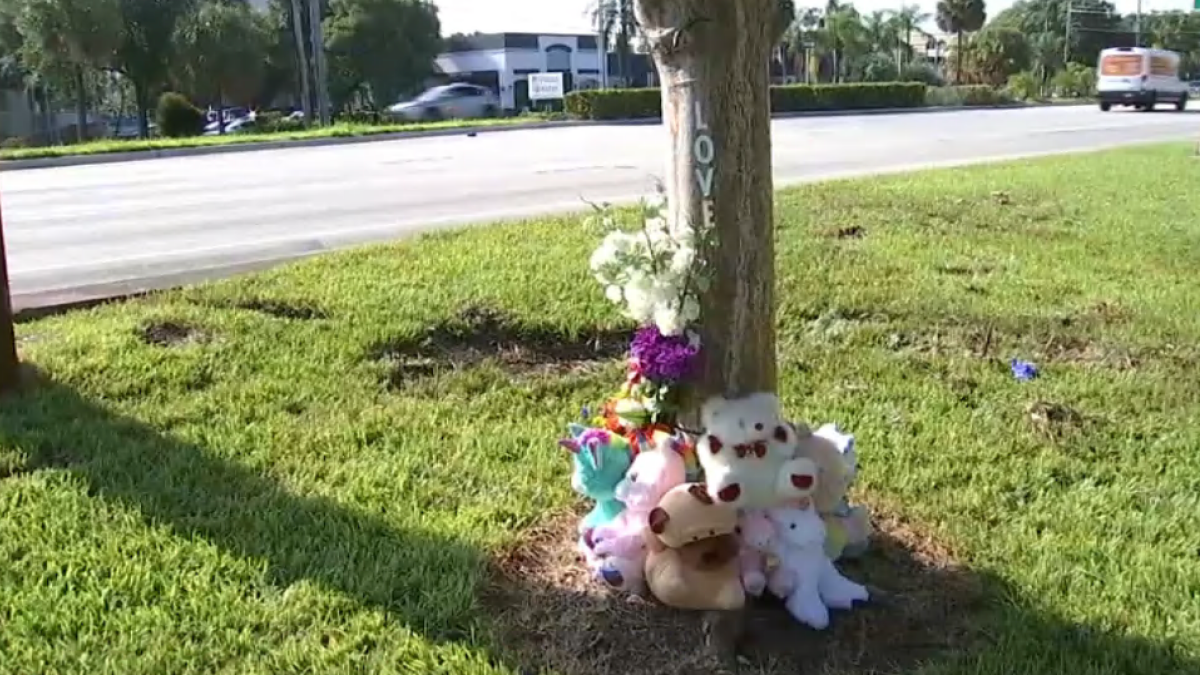 2 Teen Girls Killed When Car Splits in Half in Fourth of July Crash in