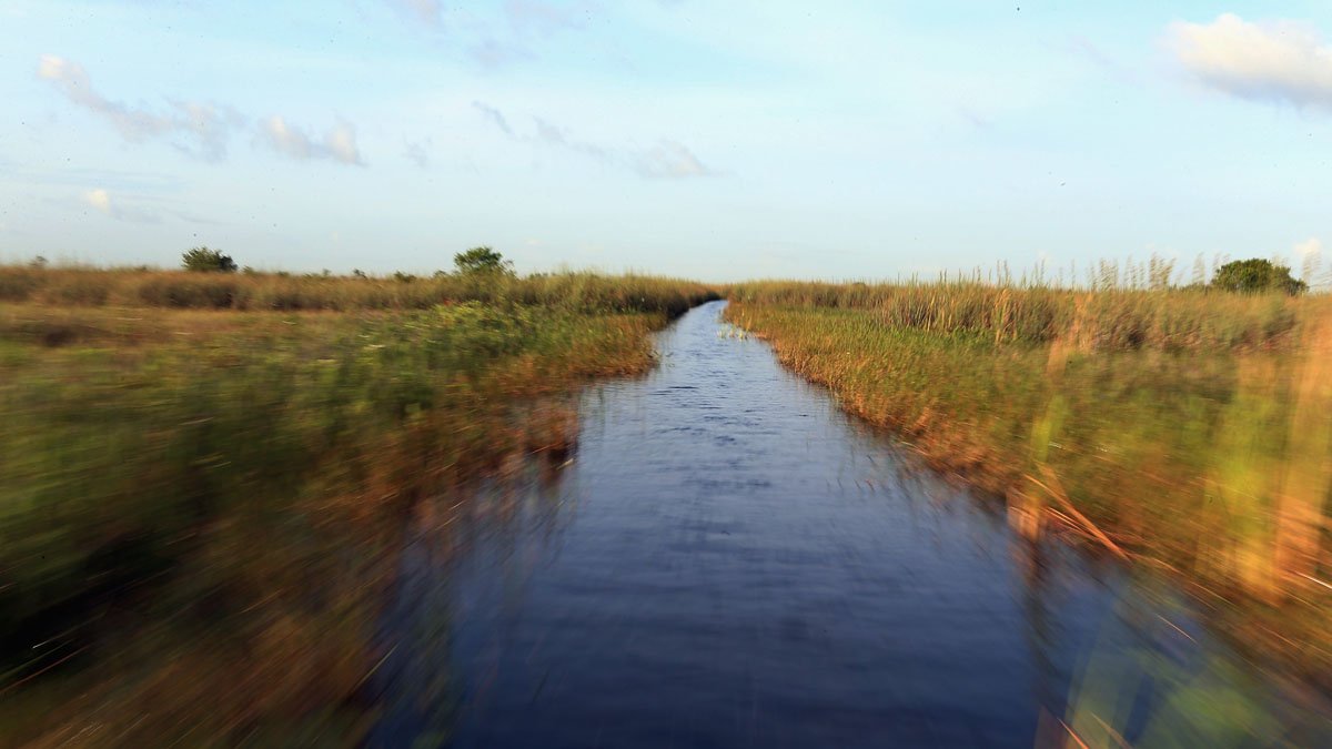 Biden Administration Announces $1.1B in Funding for Everglades Restoration Projects - Vimarsana News