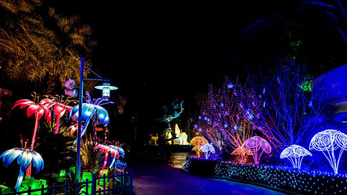 Chinese Lantern Festival Comes to Jungle Island NBC 6 South Florida