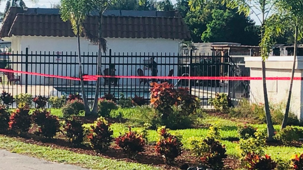 Https Www Nbcmiami Com News National International Nats Fans Go