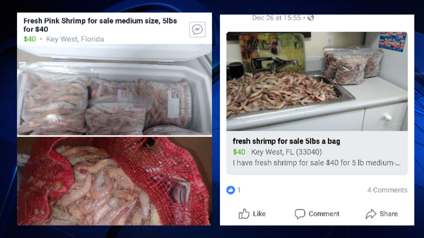 12 31 17 shrimp