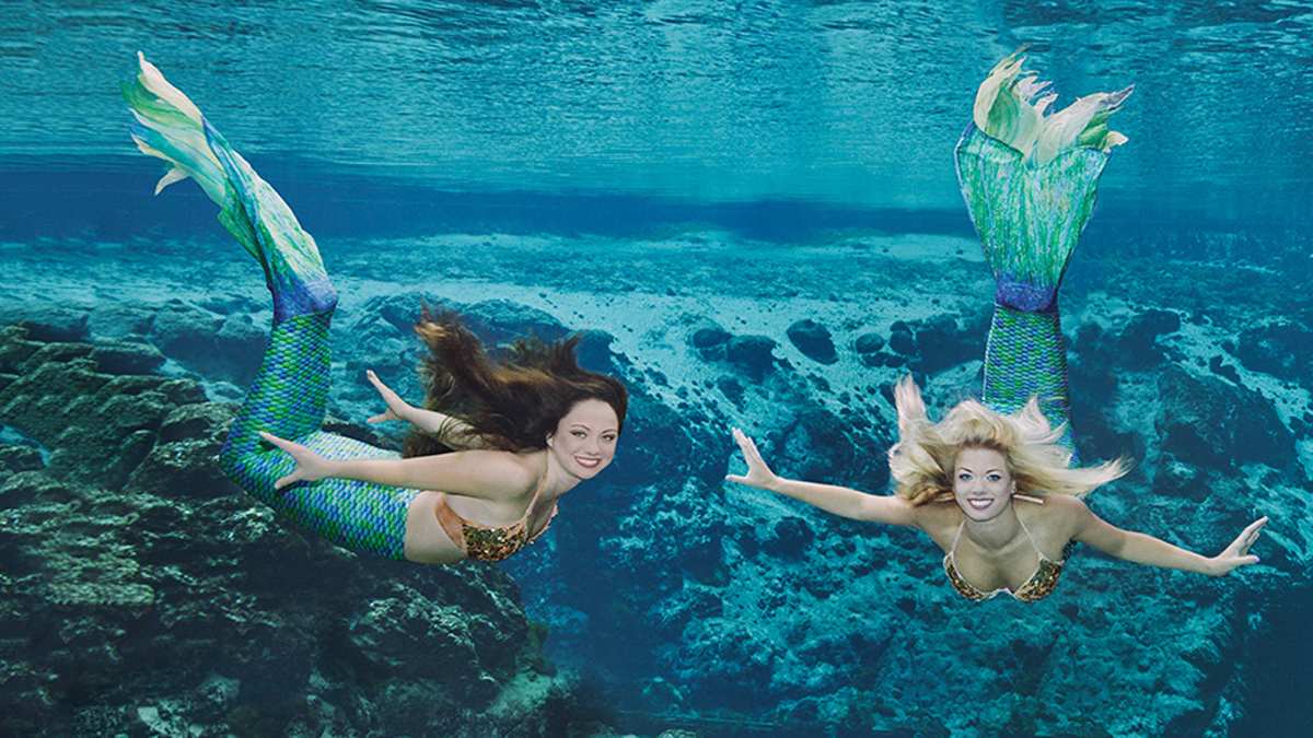 Weeki Wachee Looks for New Mermaids – NBC 6 South Florida