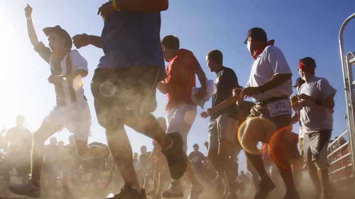 ARIZONA'S RUNNING OF THE BULLS
