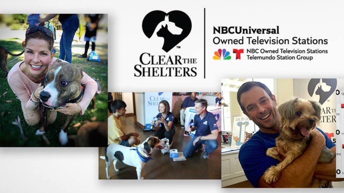 Let's ‘Clear the Shelters' on Saturday, August 19!