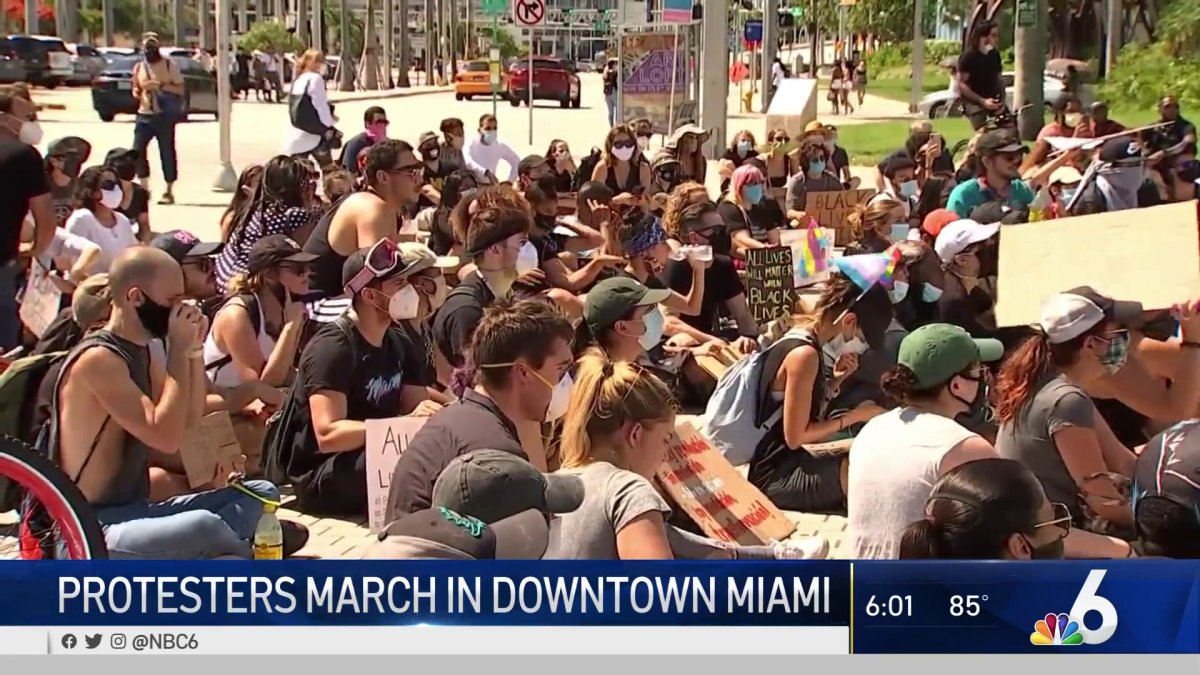 Hundreds of Protesters Gather Across South Florida for Fifteenth
