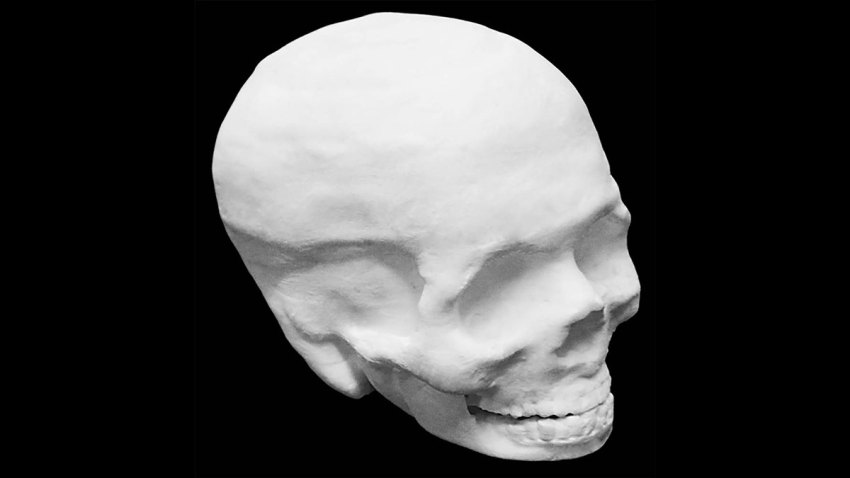 3d-skull-H