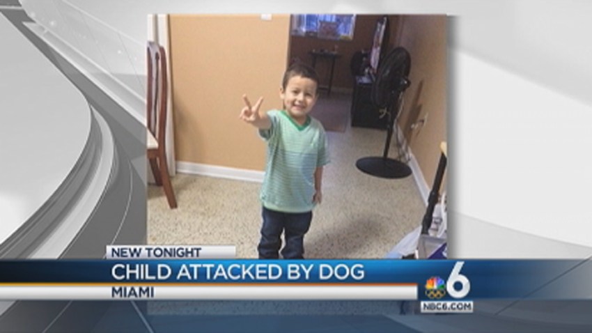 4-year-old boy