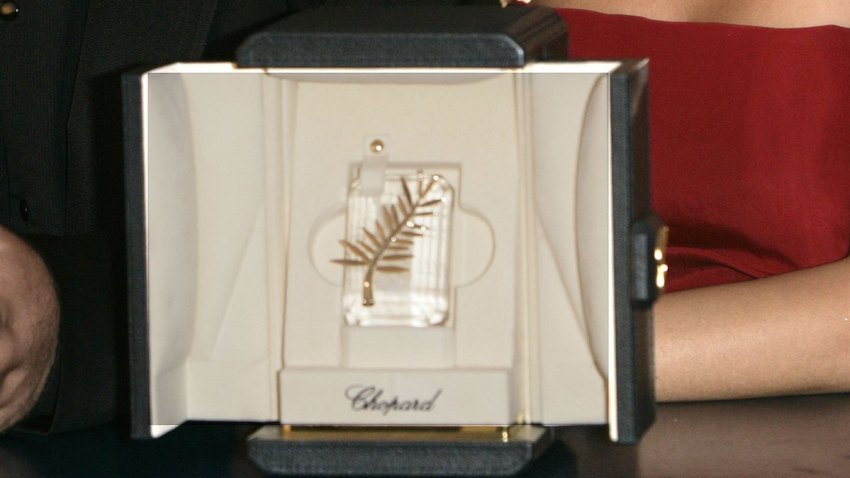 57596598AJ007_Cannes_Palme_
