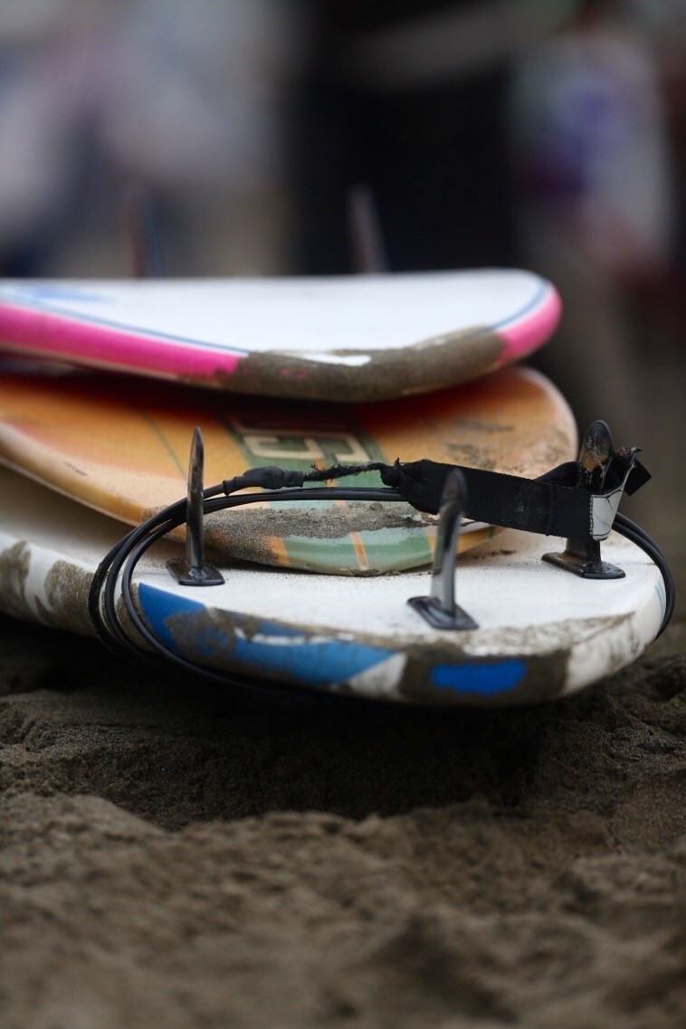 Pup Pup And Away Pooches Pounce On Waves At World Dog