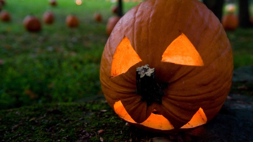 Great Jack O'Lantern Blaze