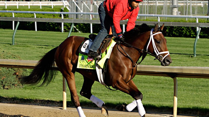 Kentucky Derby Horse Racing