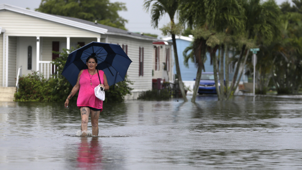 Most Property in Florida Flood Zones Is Not Insured NBC Most Property in Florida Flood Zones Is Not Insured NBC
