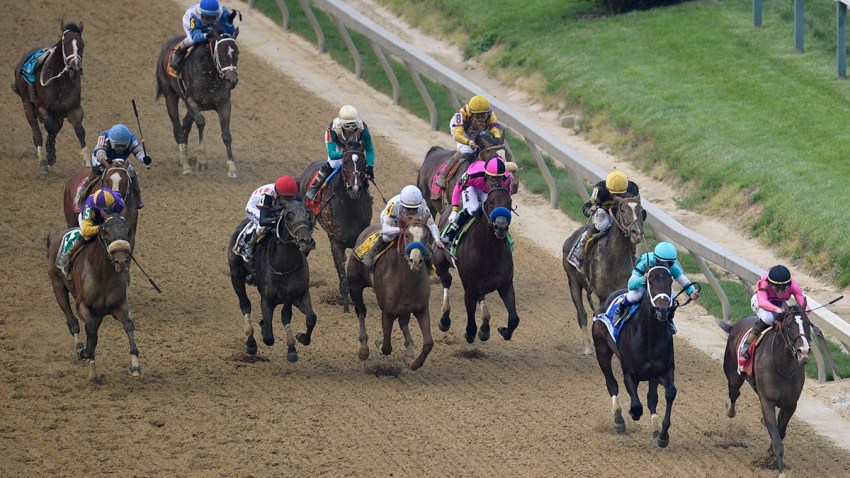 Preakness Stakes Horse Race