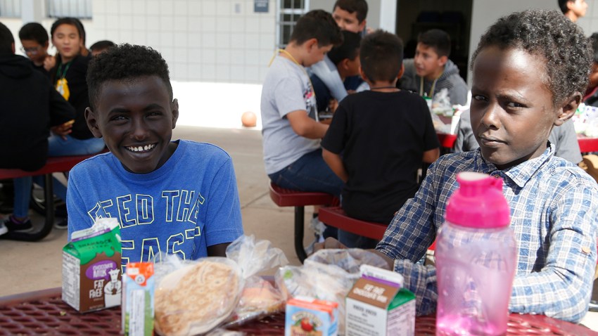 Refugee Schools