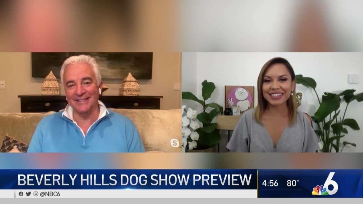 Beverly Hills Dog Show Preview NBC 6 South Florida