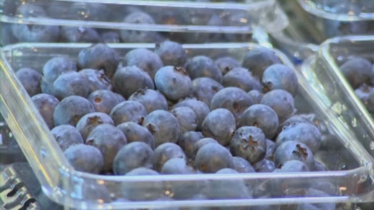 Publix issues frozen blueberry recall in Florida