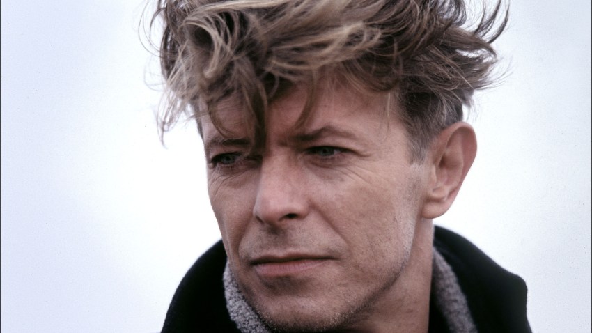 Bowie by Zuckerman