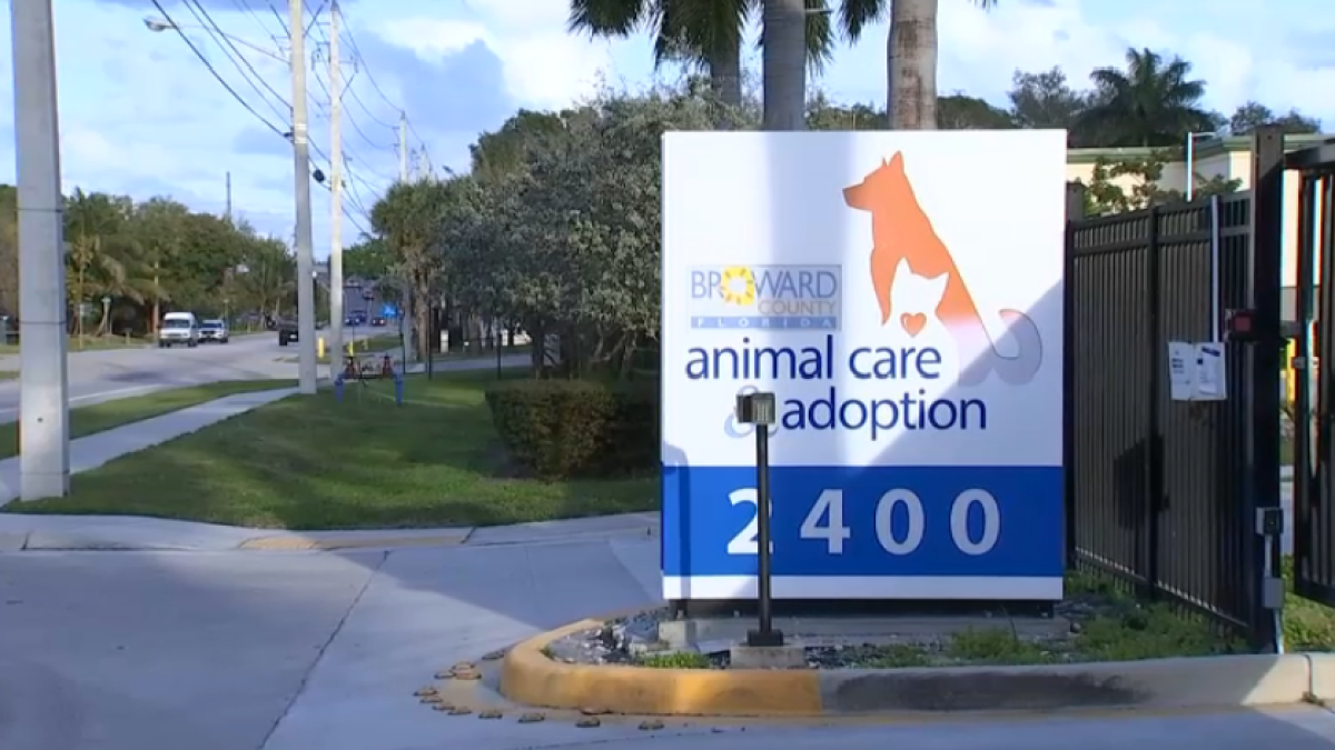 Broward Animal Care shelter says its facing overcapacity