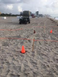 No driving is allowed on the beach except for emergency vehicles and licensed vendors.
