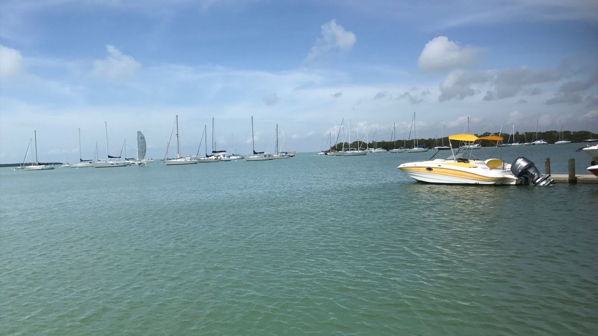 Columbus Day Regatta Canceled; Officials Still Stressing Boat Safety