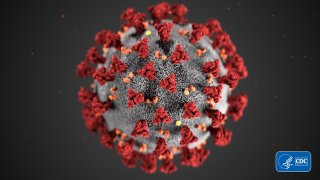 Coronavirus CDC 23311 jpg