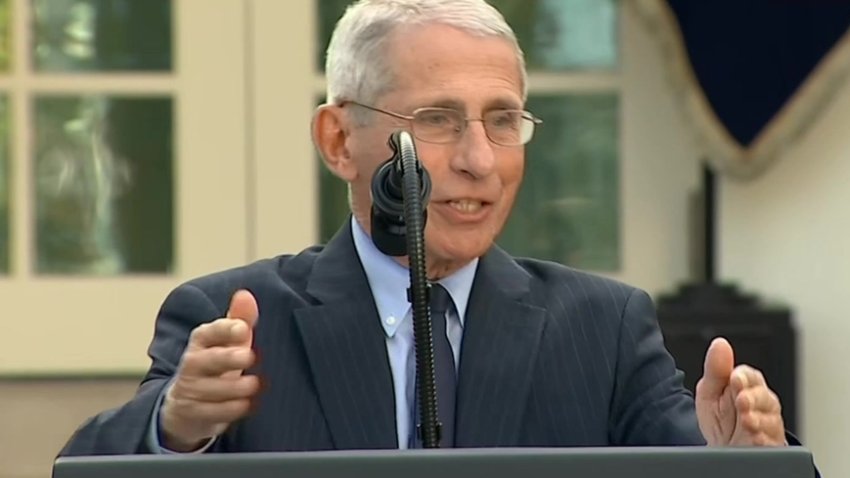 Fauci Praises Extension of Distancing Guidelines As' Wise and Prudent'