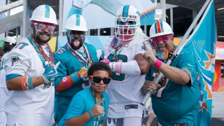 Miami Dolphins Football 8612