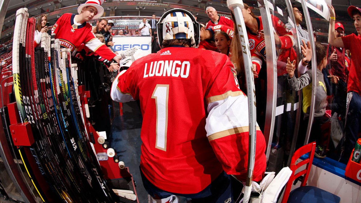 Florida Panthers goaltender Roberto Luongo retires from the NHL