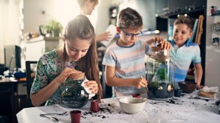 Kids having fun creating terrariums at home.