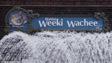 Weeki Wachee, FL - 1978: Sign for the mermaid at Weeki Wachee Springs park. (Photo by Walt Disney Television via Getty Images)