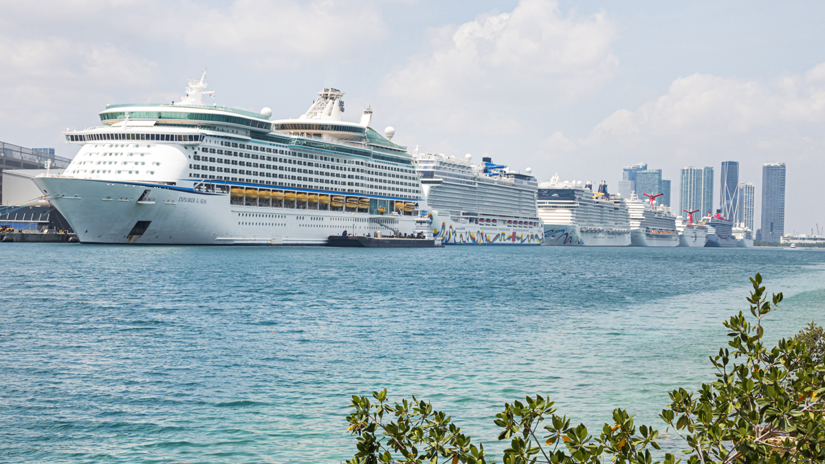 Royal Caribbean Looks Forward to Seeing You Aboard the Inaugural Voyage of  the World's Largest Cruise Ship!, by Rich Taylor, The Haven