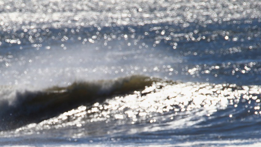 461167013BB00020_Surfers_in