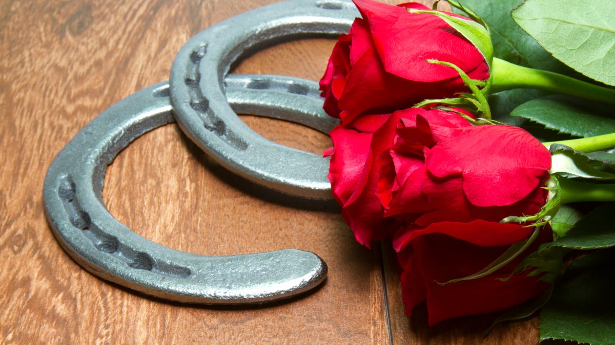 Kentucky Derby Rose Horseshoe Peel N Place Decoration