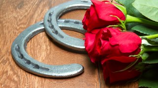 Red Roses - official flower of the Kentucky Derby with cast iron horseshoes on wood planks