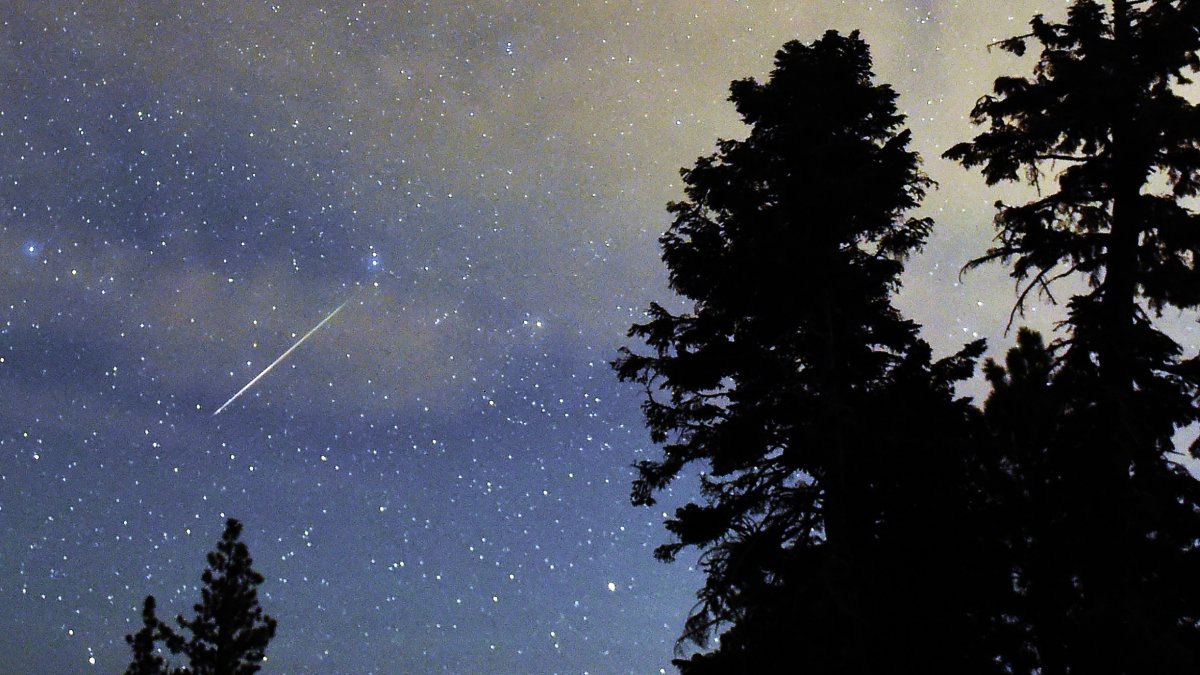 Perseid Meteor Showers Tonight When And Where to Look NBC 6 South Florida