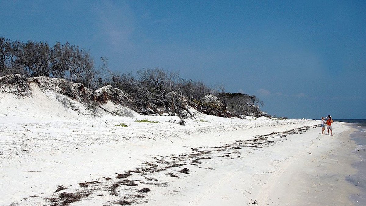 Florida Buys 17,000 Acres of Conservation Land in Panhandle NBC 6