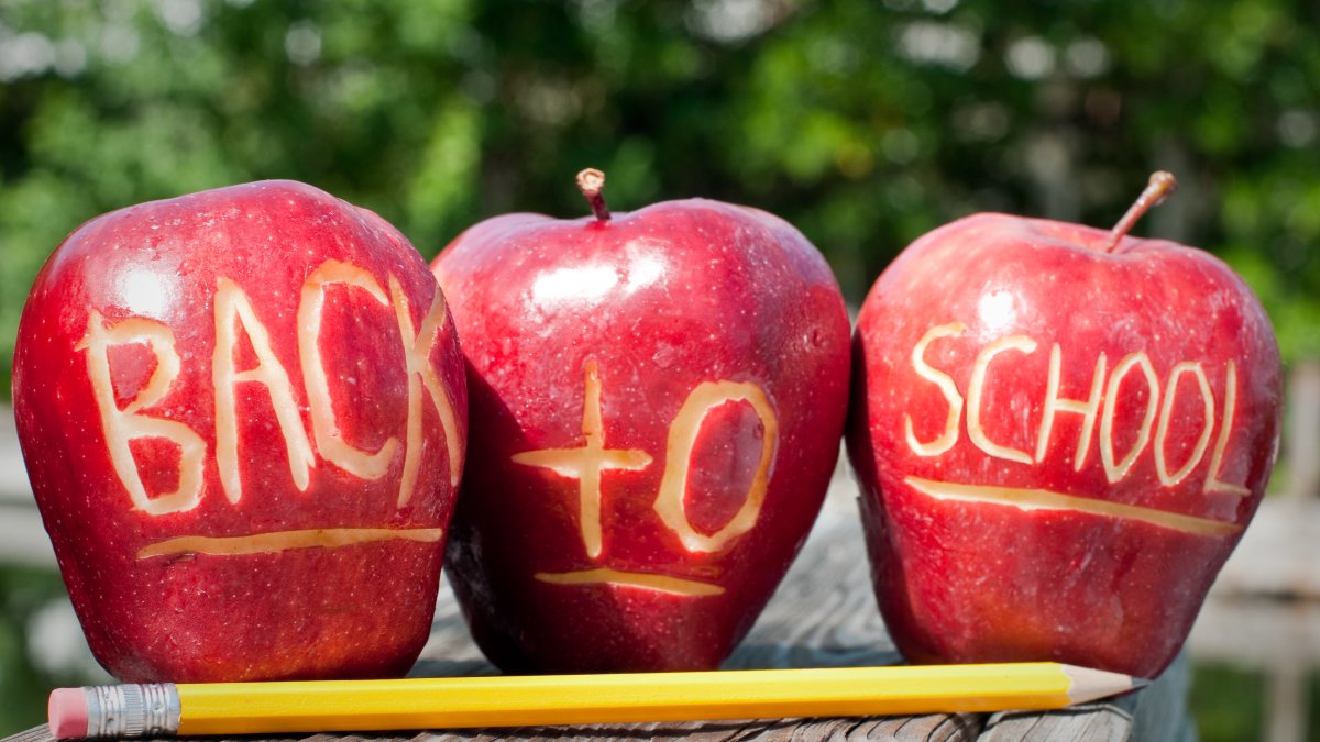 6 Ways to Ease the Transition Back to School