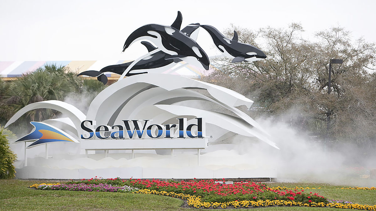 SeaWorld Develops Plans for Reopening; No Official Date Set – NBC 6 ...