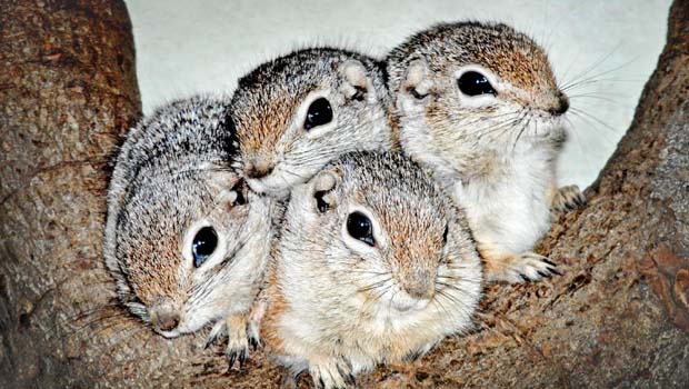 Car Slams Into Subway In Deerfield Beach Nbc 6 South Florida