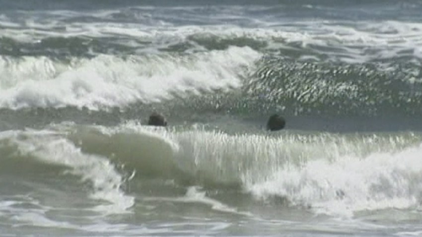 Forecasters Warn Of Rip Currents On Gulf Beaches Nbc 6 South Florida