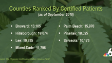 NBC 6 Investigative Pot Patients Graphic 2