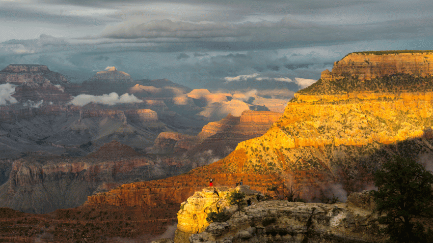 PARKS_GettyImages-488736374