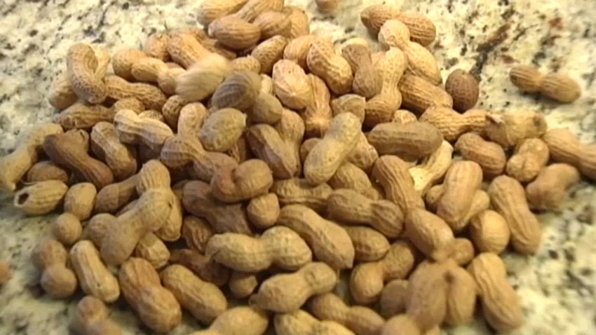 Pile of Peanuts in Shell