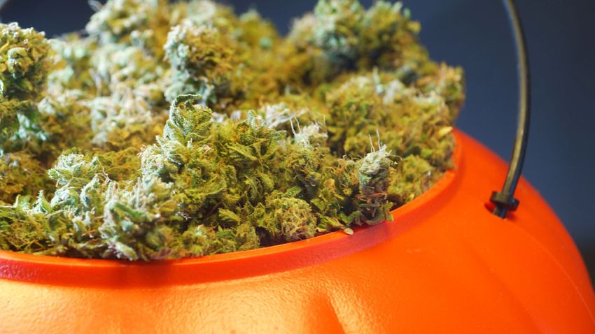 Pot Halloween Candy