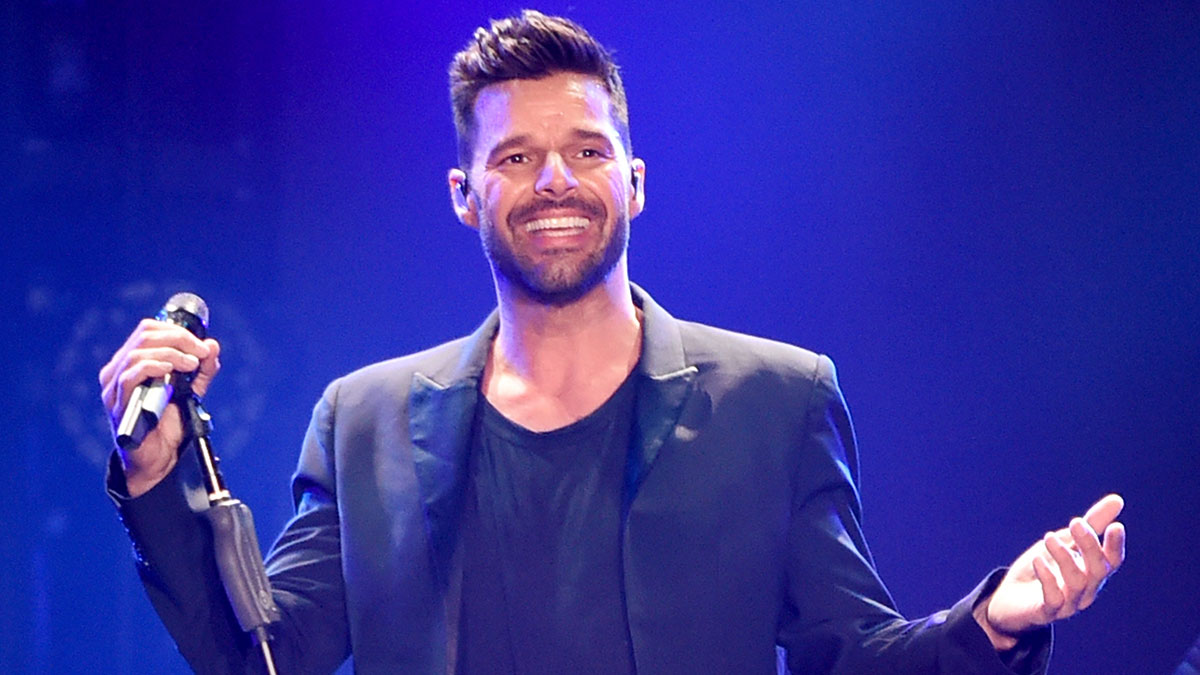Ricky Martin Sues Nephew, Alleges Destructive Persecution Ricky Martin Sues Nephew, Alleges Destructive Persecution
