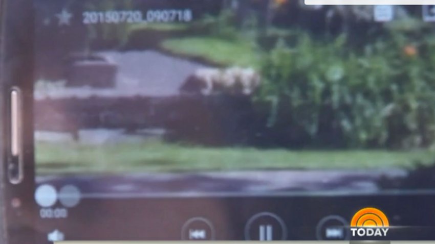 Screen-Shot-2015-07-23-at-1.27.04-AM