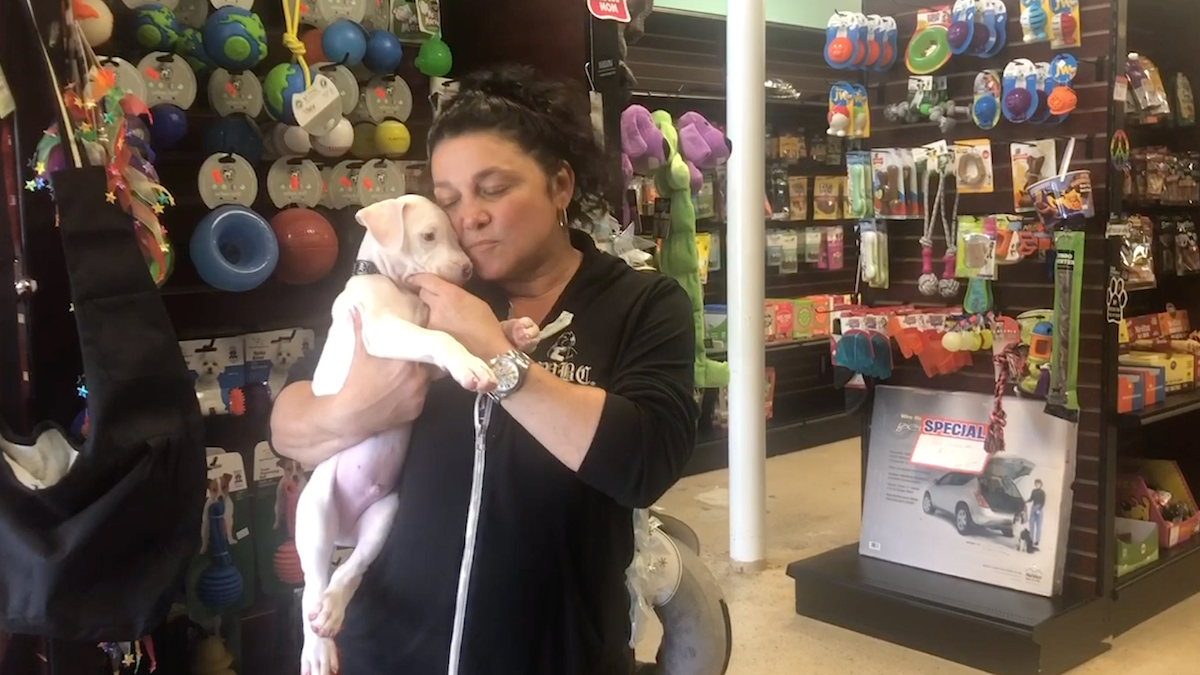 'We Just Want to Say Thank You': Fund the Shelters Challenge Raises .56M for Animals