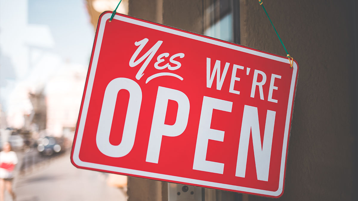 Look Up and Watch Out for Frozen Iguanas in South Florida Miami news